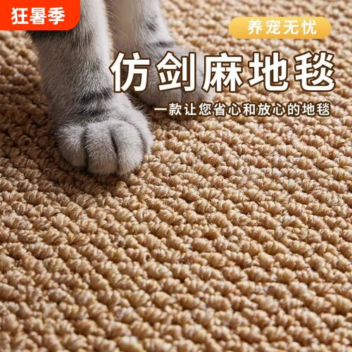 仿剑麻防猫抓宠物地垫客厅地毯沙发茶几垫卧室床边脚垫子猫咪入户