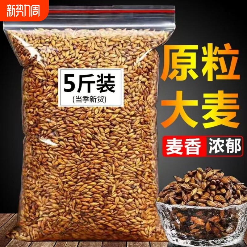 大麦茶2500g原味浓香烘培大麦茶散装茶叶饭店酒店枸杞玫瑰决明子