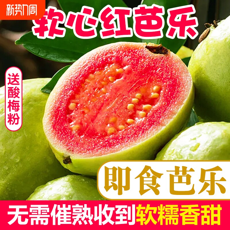 红心芭乐水果软心果汁胭脂红番石榴软糯香甜鲜果时令新鲜