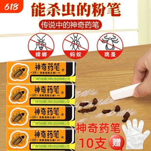 广州佳丽神奇药笔灭头虱子家用灭蚁药跳蚤蟑螂药粉小蠊连环杀