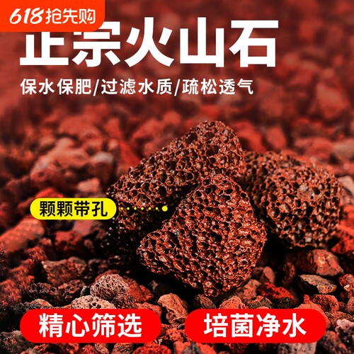 火山石多肉兰花专用|千人加购