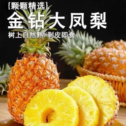 海南金钻凤梨新鲜热带水果菠萝新鲜 甜蜜多汁现摘现发9斤包邮