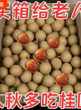抢新货桂圆干特级14A大果带壳核小肉厚福建莆田龙眼干干龙眼新鲜