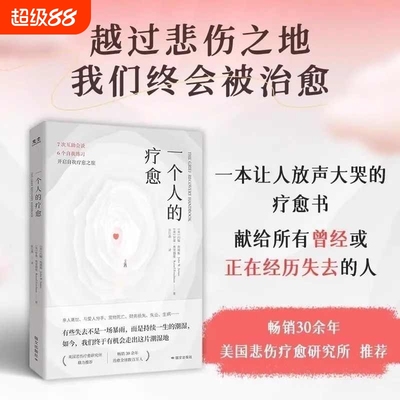 正版速发 一个人的疗愈越过悲伤之地我们终会被治愈 一本让人放声大哭的疗愈书 7次互助会谈6个自我练习开启自我疗愈之旅 樊登推荐