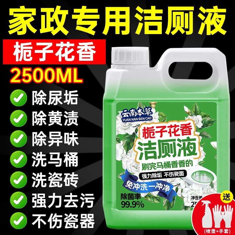 洁厕灵液强力除垢除臭清香型洗马桶厕所尿碱清洁剂去污去黄家政