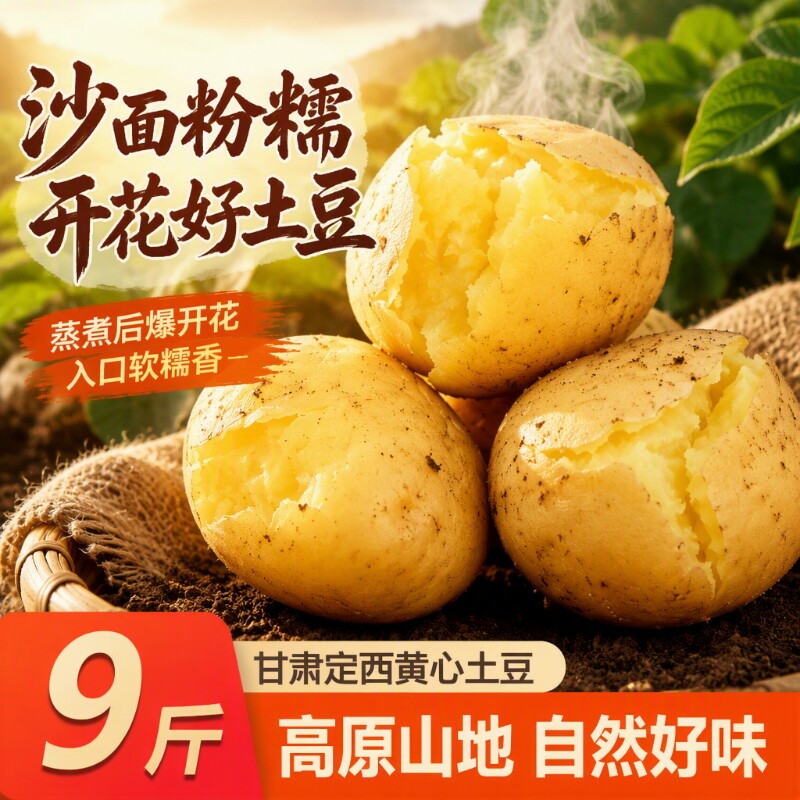 定西土豆甘肃沙面土豆新鲜面洋芋蔬菜黄心马铃薯新鲜现挖开花土豆