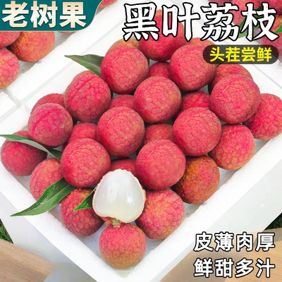 正宗黑叶荔枝新鲜水果当季现摘白糖桂花味老树大果整箱包邮挂绿