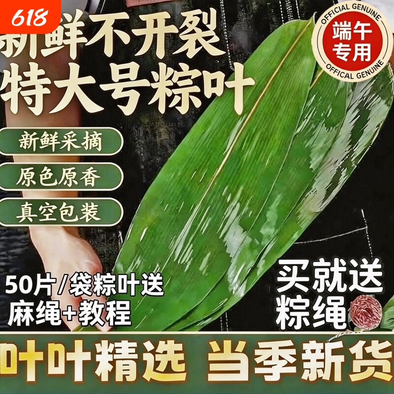 粽子叶棕叶新鲜大号新叶包粽子专用的叶子端午节商用批发干粽叶大