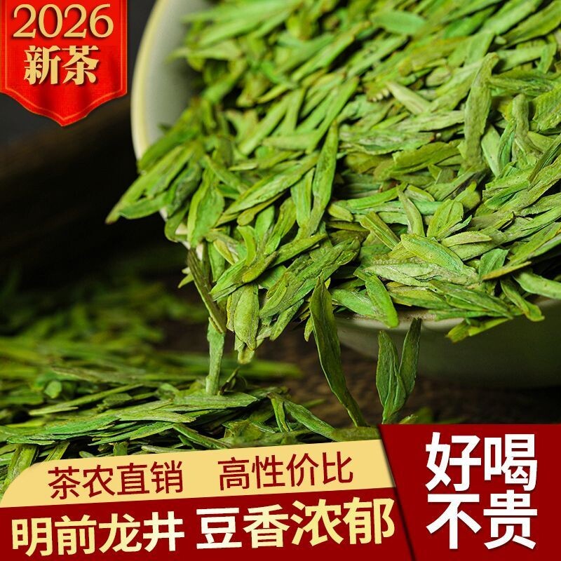 明前龙井茶嫩芽2026新茶龙井绿茶口粮茶豆香浓郁可送礼可自喝茶农