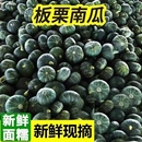 正宗板栗南瓜沙地老南瓜当季 粉糯甜板栗味瓜 新鲜采摘5斤整箱 包邮