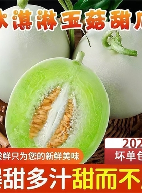 现摘冰淇淋玉菇甜瓜当季新鲜水果香瓜蜜瓜软糯香甜薄皮白瓜