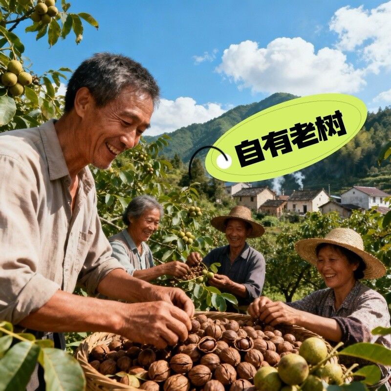 新货老树采摘临安山核桃奶油味椒盐味小山核桃正宗坚果零食炒货