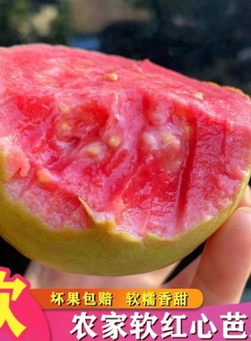 广西红心芭乐软糯香甜软心番石榴奶油老树新鲜现摘巴乐果5斤鲜果