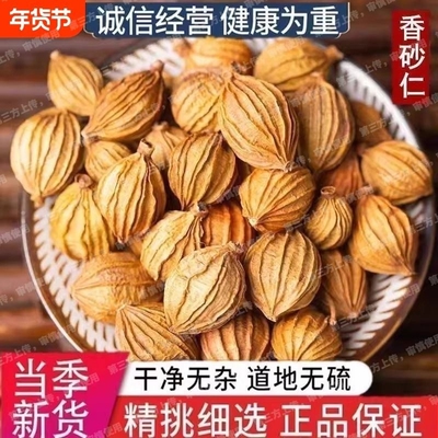 炖肉金砂仁四川香砂仁粒无硫烧菜川砂仁卤料颗粒火锅正宗批发香料