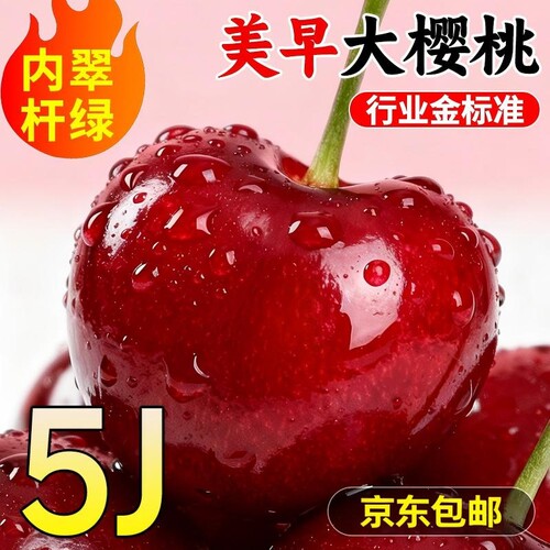 现货大连美早大樱桃国产车厘子新鲜礼盒装脆甜孕妇水果3J5J应当季