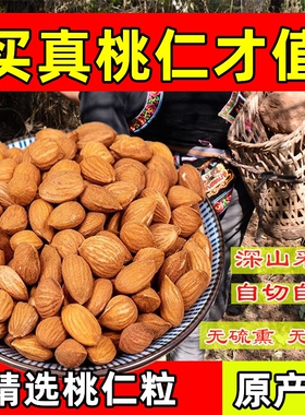 正宗桃仁中药材新货山桃仁药用桃仁生桃仁带皮桃仁干货桃红四物汤