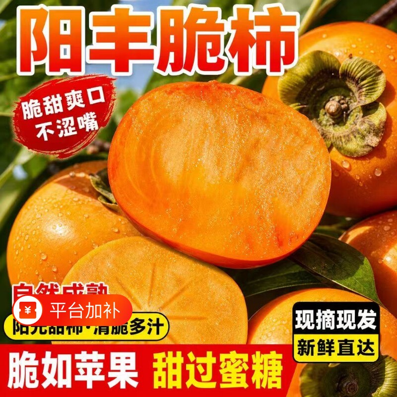 脆柿子现货正宗阳丰脆柿子巧克力脆柿新鲜水果脆甜冰糖无核当季