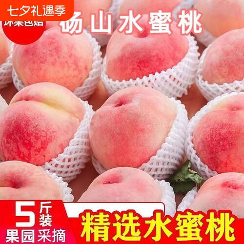 砀山水蜜桃大果新鲜水果现摘脆甜时令孕妇桃子蒙阴当季整箱天水