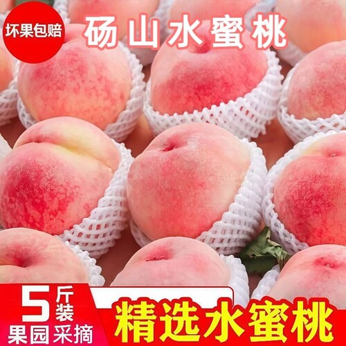 砀山水蜜桃大果新鲜水果现摘脆甜时令孕妇桃子蒙阴当季整箱天水