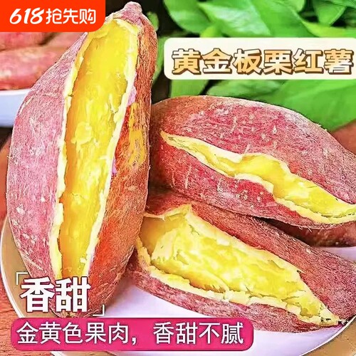 新鲜现挖沙地板栗红薯粉糯香甜