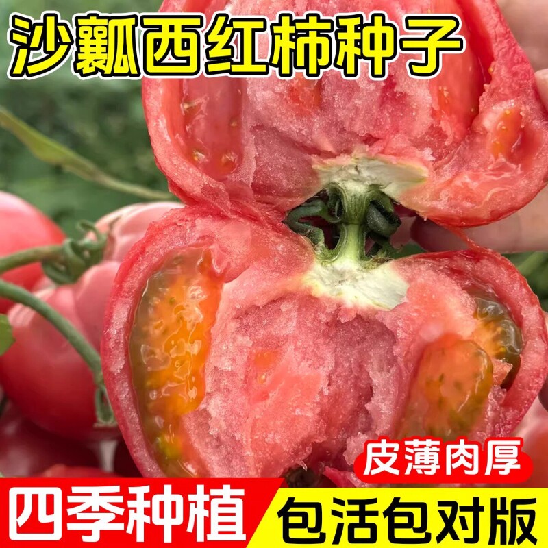 西红柿番茄四季青蔬菜种子大全香菜生菜西瓜辣椒黄瓜小葱阳台盆栽