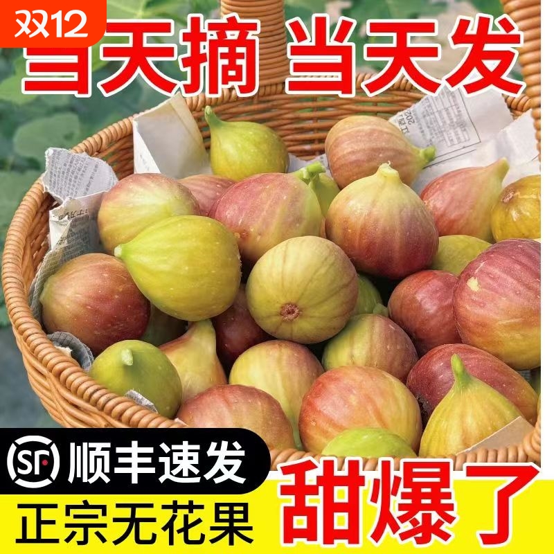 顺丰包邮新鲜无花果甜糯大果当季孕水果现摘整箱批发果园甜蜜