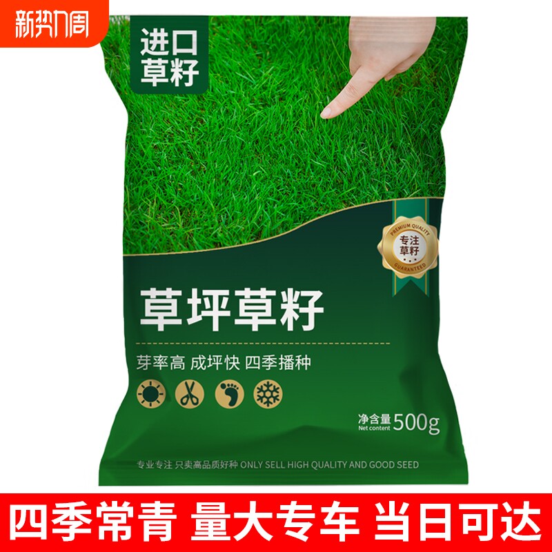 草坪草籽四季常青护坡固土狗牙根庭院地毯草马尼拉绿化黑麦草种子