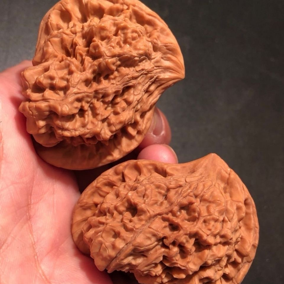 老树新果野外生文玩核桃异形新品犀牛望月鹰嘴小众手把件盘玩手疗