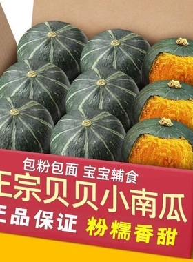 【超好吃】贝贝南瓜板栗味山东正宗小南瓜健康孕妇宝宝辅食5斤装