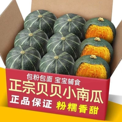 【超好吃】贝贝南瓜板栗味山东正宗小南瓜健康孕妇宝宝辅食5斤装