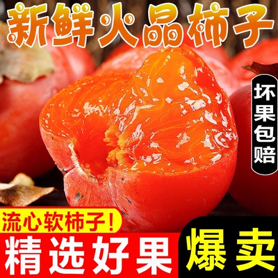 【流心蜜柿】正宗火晶柿子当季新鲜水果柿子无核软柿子整箱冰糖柿