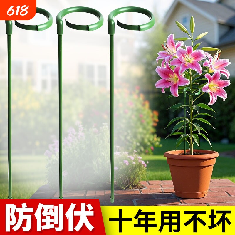 植物支撑杆龟背竹花卉支撑架