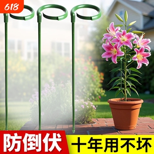 植物支撑杆龟背竹花卉支撑架固定防倒伏朱顶红百合园艺番茄爬藤架