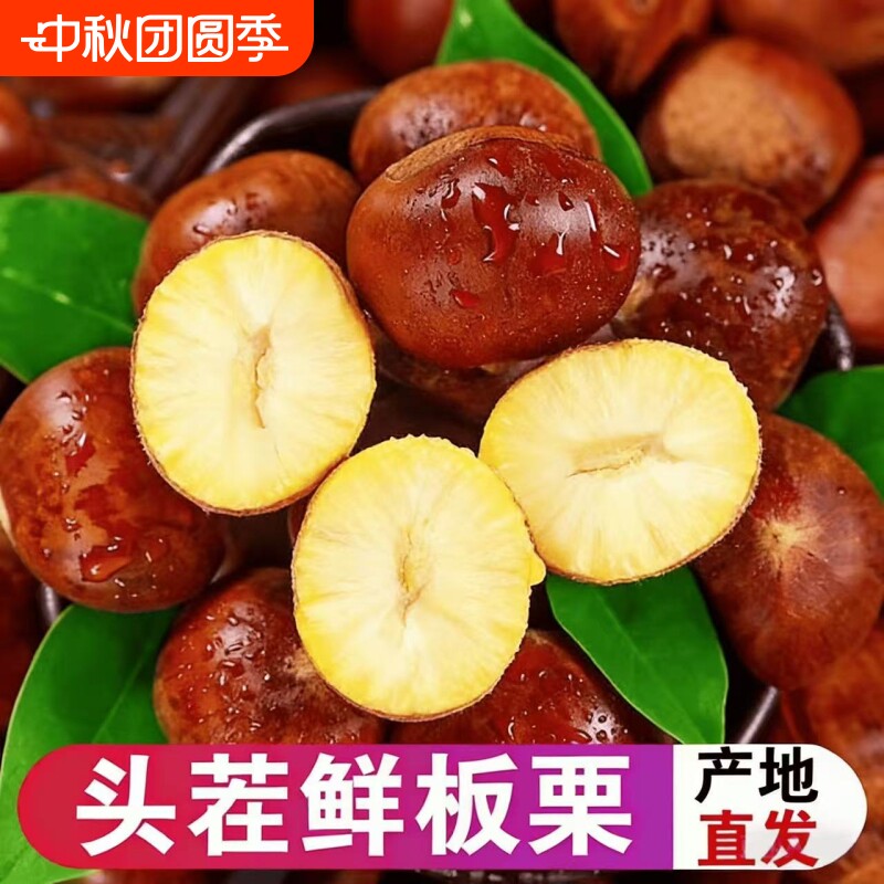 正宗丹东新鲜生现摘大板栗