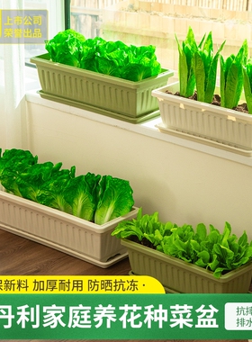 史丹利阳台种菜盆专用家用花盆室内长方形塑料长条盆栽专用盆种植