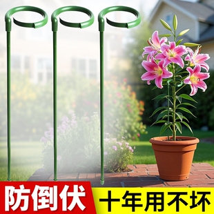 植物支撑杆龟背竹花卉支撑架固定防倒伏朱顶红百合园艺番茄爬藤架