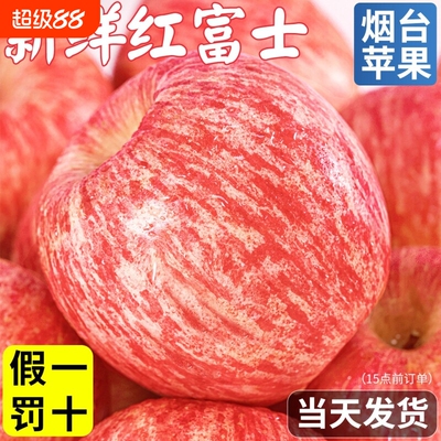 苹果正宗烟台红富士新鲜水果应当季整箱包邮山东脆甜多汁冰糖心