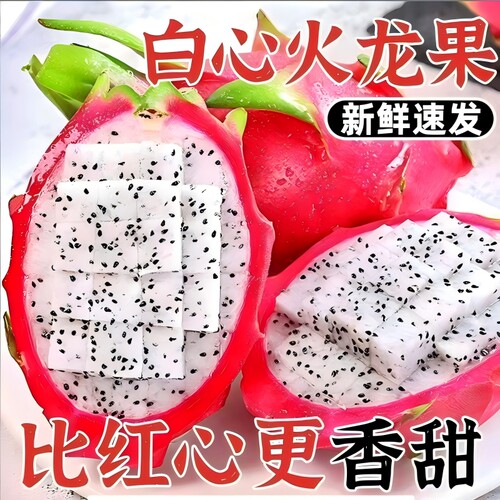 正宗越南进口白心火龙果大果包邮应季水果清甜非红心热带水果孕妇
