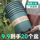 花盆塑料2024树脂多肉绿萝月季 加仑盆栽加厚透气阳台耐用种植高款