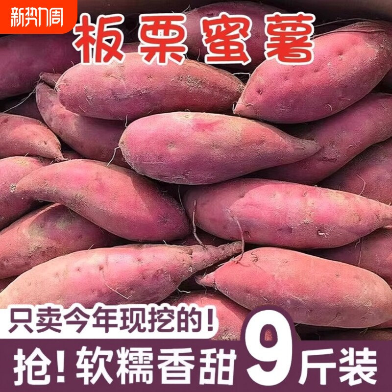 现挖龙九蜜薯地瓜红薯新鲜番薯黄心板栗自种山芋香甜软糯源头