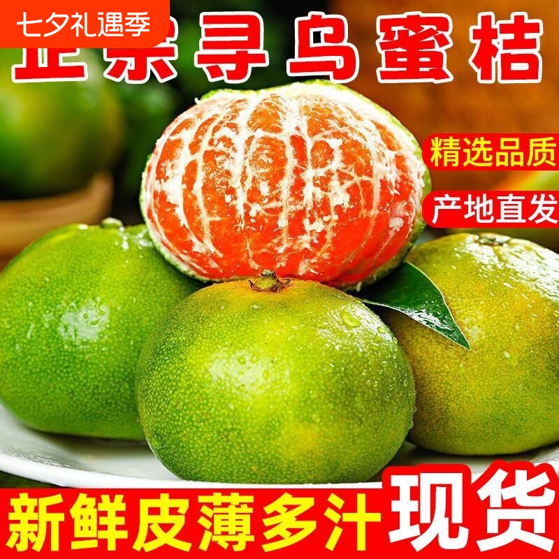 【现货】江西寻乌蜜桔青皮橘子无籽酸甜多汁应季孕妇水果产地直发