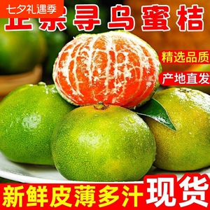 【现货】江西寻乌蜜桔青皮橘子无籽酸甜多汁应季孕妇水果产地直发