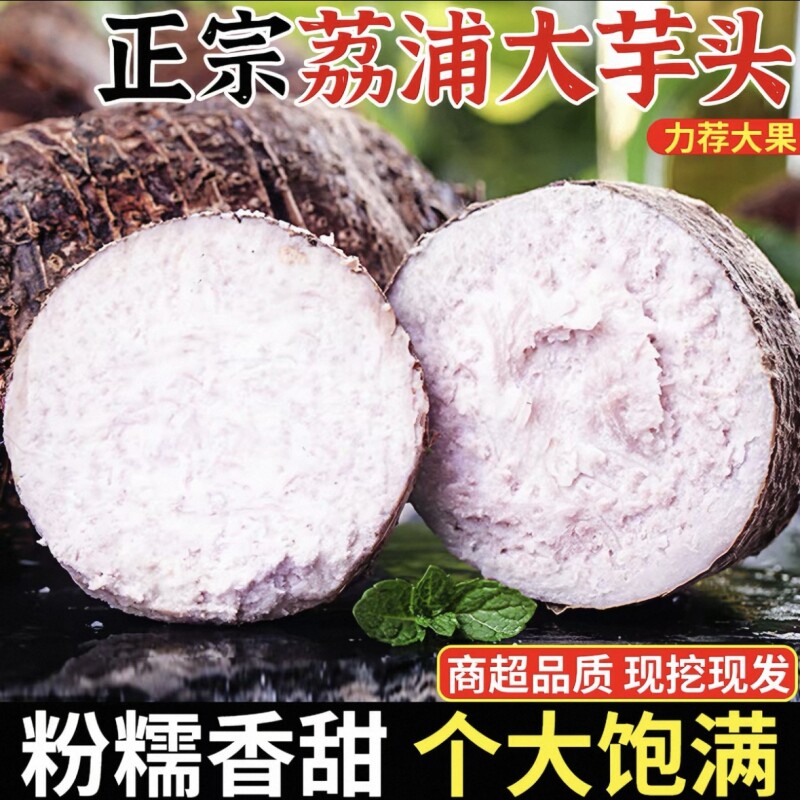 广西正宗荔浦芋头粉糯新鲜小香芋软糯农家特产荔浦直发包正宗包糯