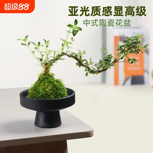 中式亚光陶瓷盆景|超2000次加购