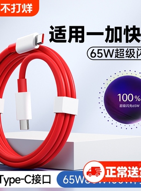 10A超级闪充适用一加充电器11/12/ace2/3/oppo原10pro真我gtneo5pro/数据线插头80W快充电线65W手机160W平板L