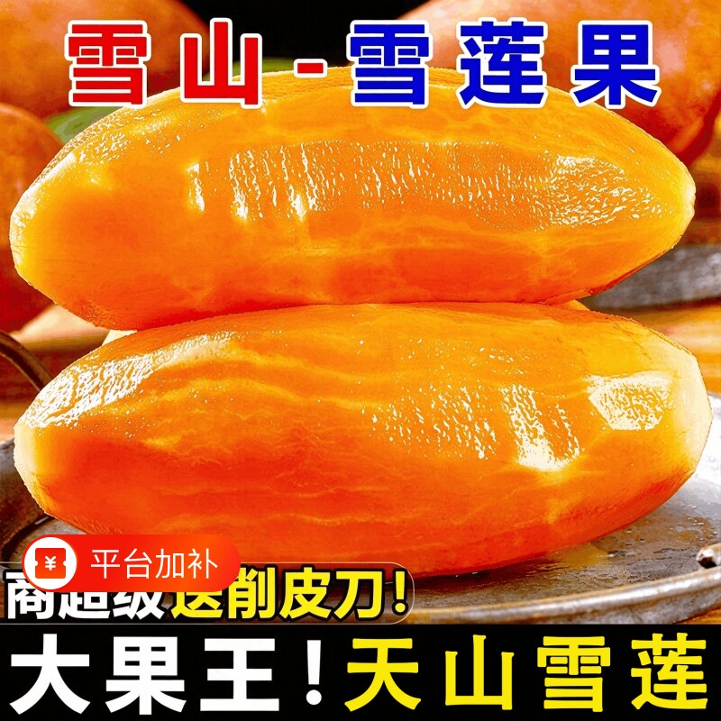 云南天山雪莲果新鲜水果当季现挖脆甜红心雪连果时令大果整箱包邮