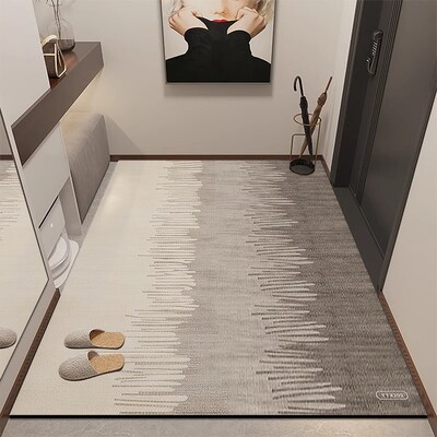 硅藻泥入户地垫防滑吸水抗污耐脏