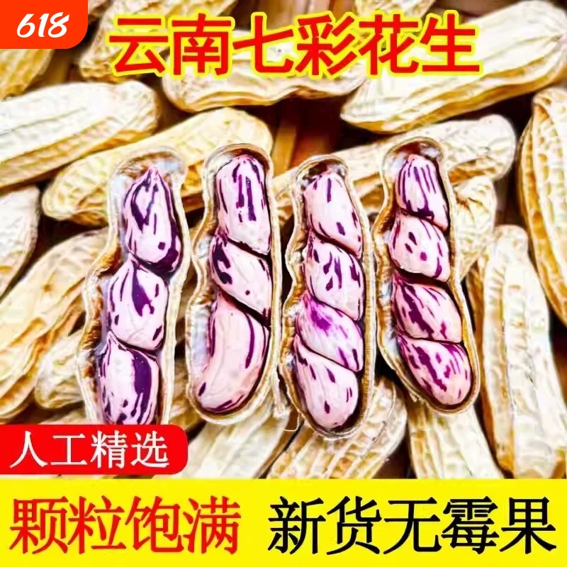 2026七彩花生晒干带壳云南特产咸干花生米牛奶花生种子籽新鲜水煮