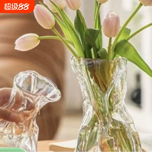 花瓶摆件客厅ins风玻璃插花水养水培鲜花高档高级感轻奢小众干花