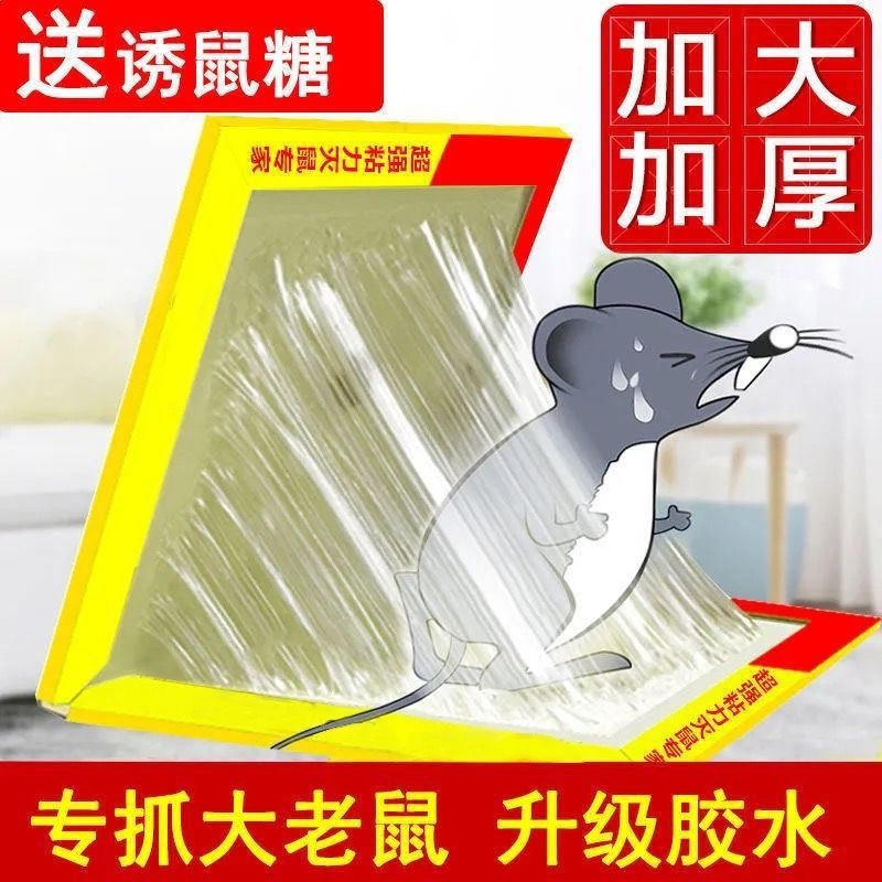 强力粘鼠板捕鼠贴沾胶老鼠笼灭鼠器专业抓灭鼠家用一锅端厨房粘胶